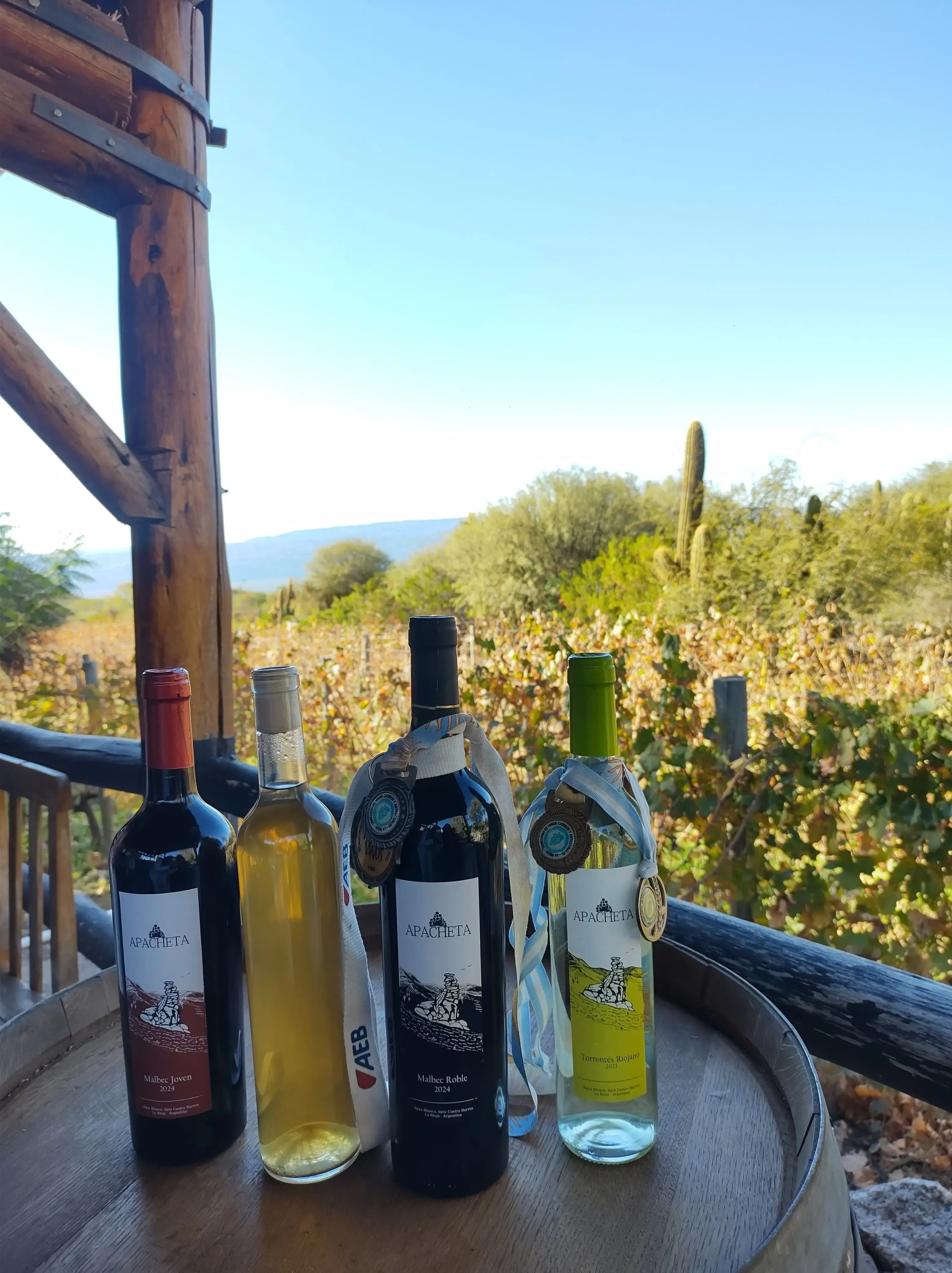 Vinos y paisaje, Ruta del Vino - Sulpayki Viajes y Turismo